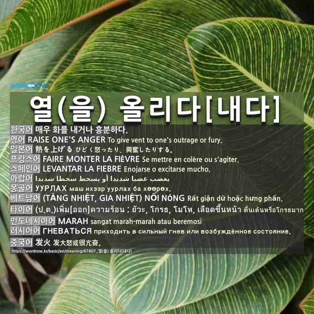 열 을 올리다 내다 1 熱を上げる 2 熱を上げる 精を出す 3 熱を上げる 拍車をかける